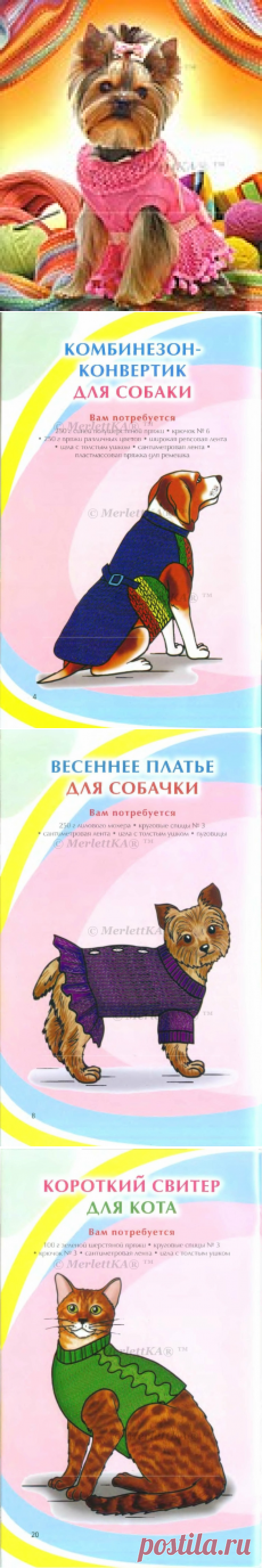 ВЯЖЕМ ДЛЯ ЖИВОТНЫХ - 14 ИЗДЕЛИЙ ДЛЯ СОБАК И КОШЕК