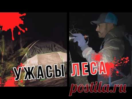 НЕЧТО СТРАШНОЕ В ЛЕСУ НАПАЛО!