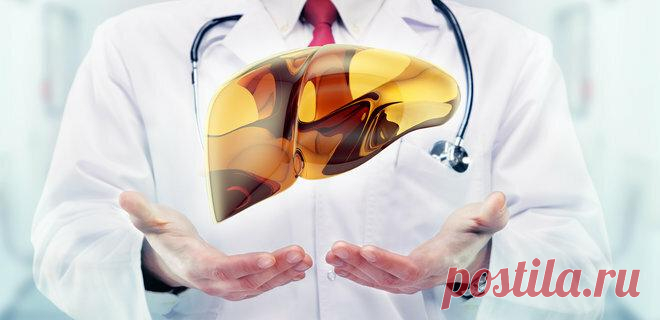 Как защитить свою печень?
Международный Медицинский многопрофильный центр (г. Хайфа, Израиль) Печень – это один из самых крупных органов человеческого тела. Она относится к эндокринной системе и состоит из двух неодинаковых долей разной формы. У взрослого мужчины масса этого органа  составляет в среднем 1,5 кг, а у женщины – 1,2 кг. Она расположена под диафрагмой в районе  правой реберной […]
Читай дальше на сайте. Жми подробнее ➡