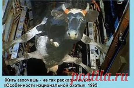 "Четыре четырки, две растопырки? Сколько это? Отвечай, Дмитрий Ливанов!" - 31 Октября 2015 - Russia-Asia-Siberia