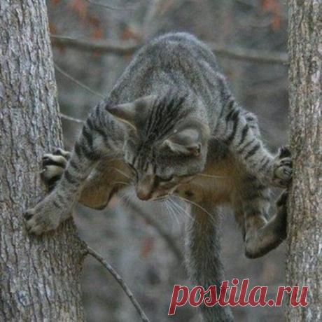 Мой Мир@Mail.Ru