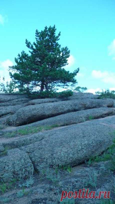 На берегах заповедных озер - Наука и жизнь