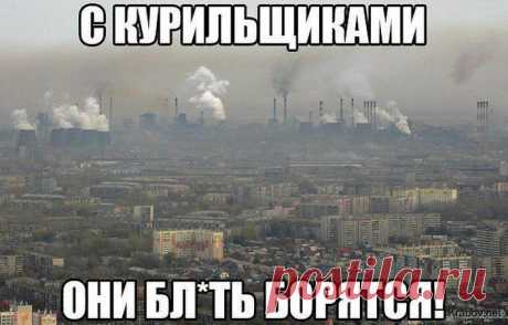 Прикольные картинки, видео приколы, демотиваторы, смешные фото приколы и анекдоты