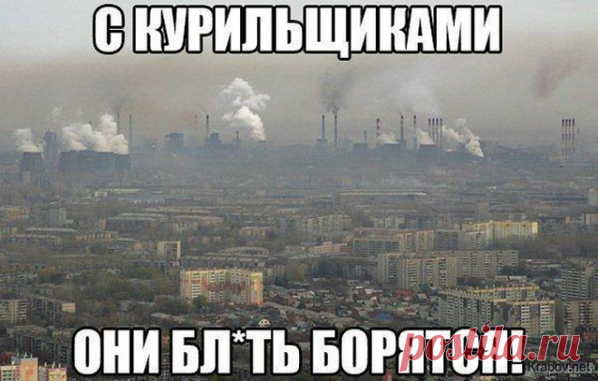 Прикольные картинки, видео приколы, демотиваторы, смешные фото приколы и анекдоты