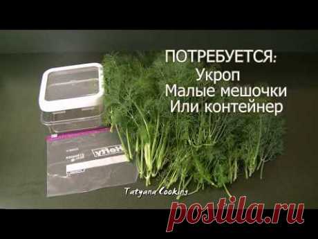 ДЕЛАЙ ТАК! Чтобы НЕ ТРАТИТЬСЯ НА Укроп в любое время года!