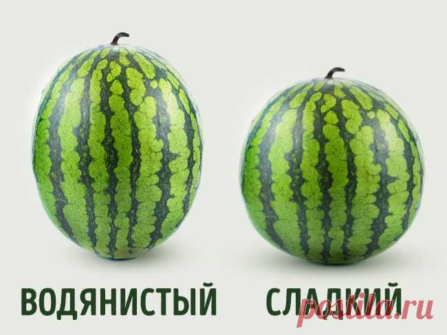 Как правильно выбирать арбуз: трюки, которые мне поведал фермер