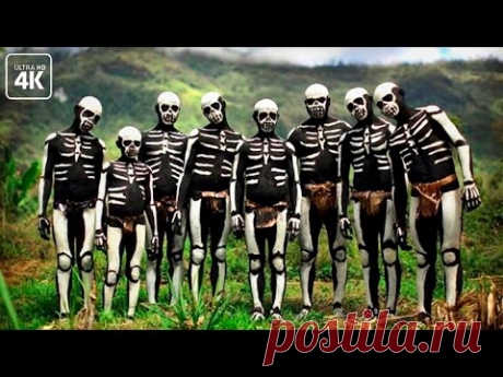 Неконтактные племена или убийцы туристов