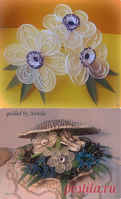 Анемоны. Квиллинг на кальке.