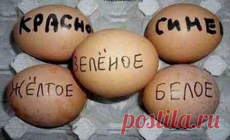 Дорогая, что ты хочешь чтоб я ещё покрасил?!