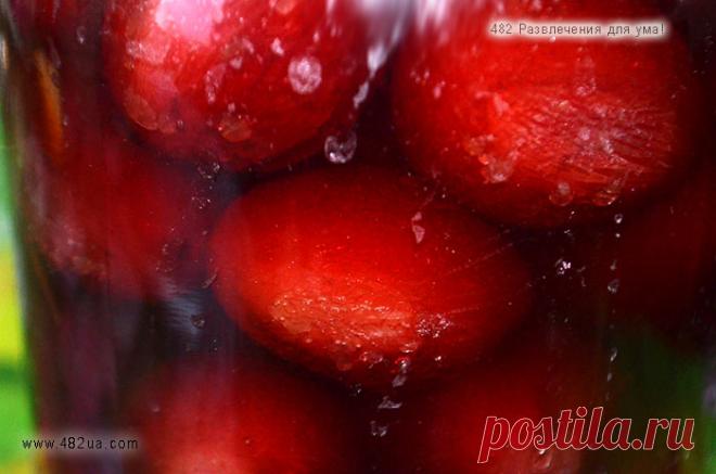 Сливы маринованные, как оливки + 195 рецептов маринования