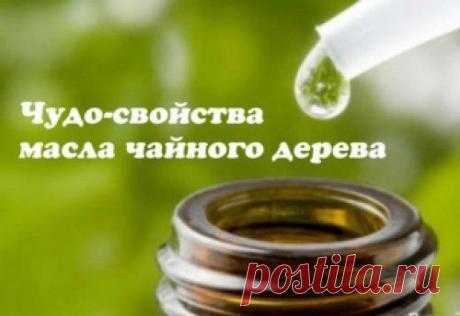 Волшебное масло чайного дерева | Наш дом