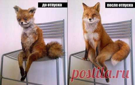 Точно 😜