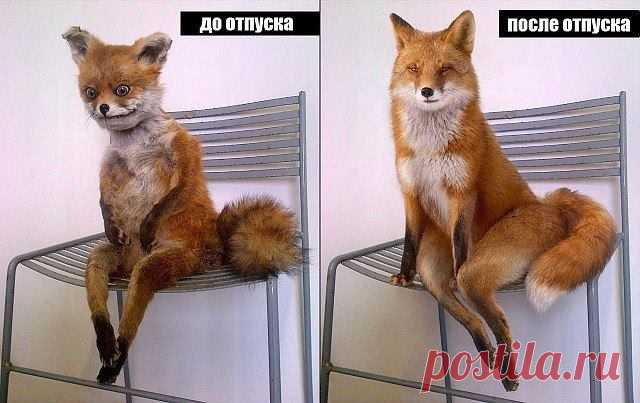 Точно 😜