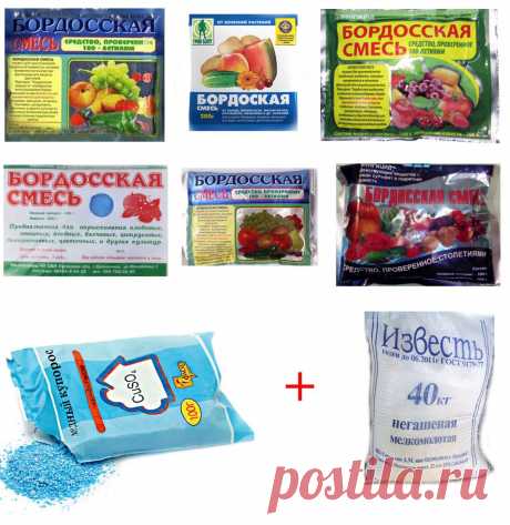 Бордоская смесь и правила её приготовления.

Кто не применял на своём дачном участке бордоскую жидкость? Наверное, все. Потому что дачные растения, как и людей,  нужно не только кормить, поить и лелеять, но ещё защищать и лечить. Ибо как и у нас, в растительном царстве полно врагов, нахлебников и вредителей!