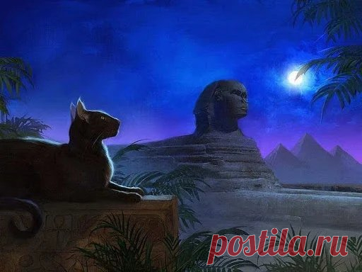 Древний Египет. Священные животные. Культ кошек