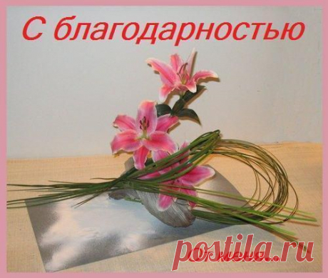 Фото СПАСИБО!. Альбом БЛАГОДАРНОСТИ - 50 фото. Фотографии zoja simonova.