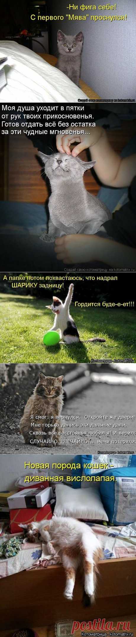 Улыбательные приколы
