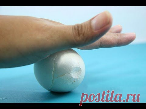 If You Eat Eggs, You Need To See This. Amazing Trick! | PetFlow Blog - The most interesting news for pet parents around the world.