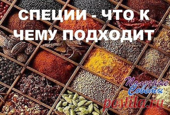СПЕЦИИ – ЧТО К ЧЕМУ ПОДХОДИТ
ДЛЯ МЯСА: красный, черный, душистый перец или гвоздика, майоран, тимьян, тмин, куркума, лук, орегано.
ДЛЯ ПТИЦЫ: тимьян, майоран, розмарин, шалфей, чабрец, базилик.
ДЛЯ РЫБЫ: лавровый лист, белый перец, имбирь, душистый перец, лук, кориандр, перец чили, горчица, укроп, тимьян.
ДЛЯ ГРИЛЯ: красный перец, душистый перец, кардамон, тимьян, майоран, мускатный орех и мускатный цвет, тмин, имбирь, перец чили.
ДЛЯ ДИЧИ: тимьян, душица обыкновенная, душистый перец, красн