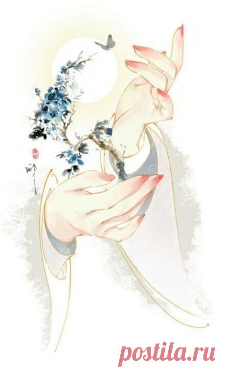 i (440×728)