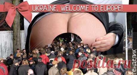 Чудеса в решете. . | Новости, события, факты