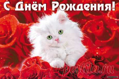 открытка