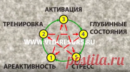 Что важно для оздоровления и жизни без болезней. Мой 35-летний опыт | Игра без правил Алексея Р | Яндекс Дзен