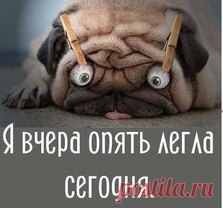 хх