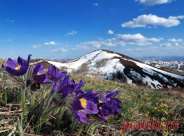 (50) Одноклассники