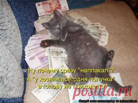 растишь чайные кустики и собираешь листики и продаешь