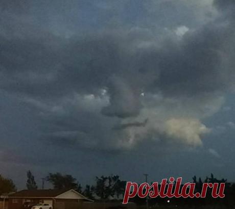 Смешные фото приколы и картинки из жизни (11 фото)