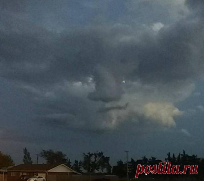 Смешные фото приколы и картинки из жизни (11 фото)