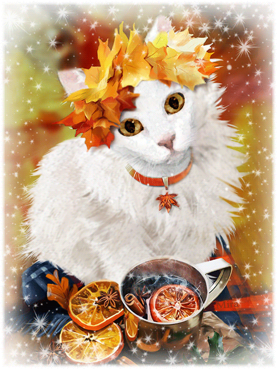 animation, autumn, cat, gif animated, gif анимация, illustranion, mira, анимации, анимация, блеск, гифка, картина, кот, мои анимации, надписи, открытки, текст штамп, футажи