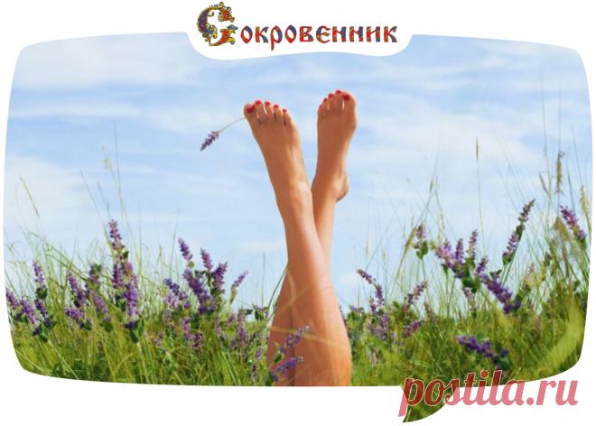 Постучите пятками о пол и... вы здоровы! — Сокровенник В СССР было очень много простых, но гениальных решений, одним из которых была виброгимнастика, предложенная академиком Александром Александровичем Микулиным. Она избавляла мышцы ног от избытка молочной кислоты и улучшала венозное кровообращение.
Самое интересное, что Александр Микулин был конструктором авиационных двигателей. А выйдя на пенсию, он остался таким же неугомонным и творческим человеком, каким был и всегда....