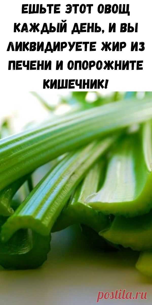 Ешьте этот овощ каждый день, и вы ликвидируете жир из печени и опорожните кишечник!
