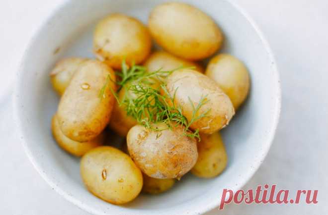 10 продуктов, которые гарантированно помогут похудеть