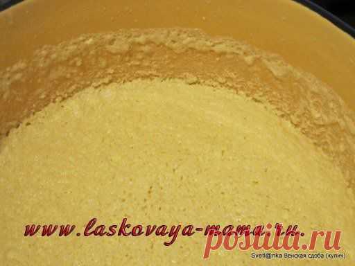 Пасхальный кулич (рецепт венской сдобы)