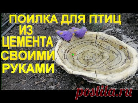 Поилка или не глубокий вазончик из цемента — Садоводка
