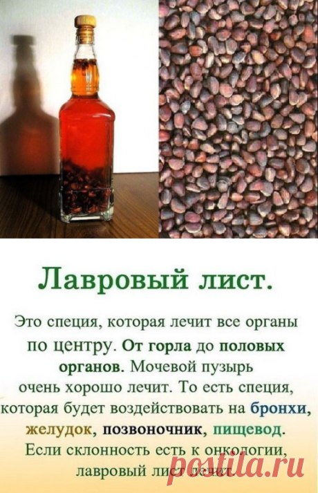 (47) Одноклассники