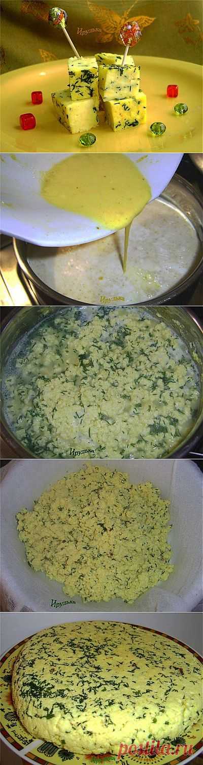 Домашний сыр с карри и укропом : Сыры
