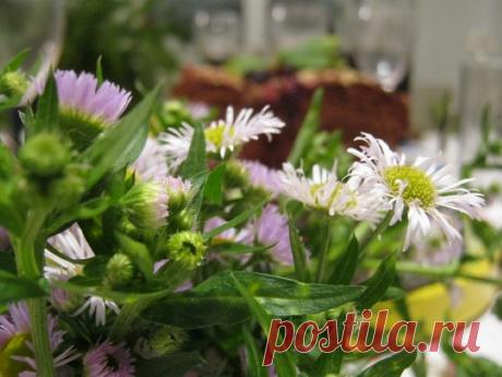 Меню на день рождения