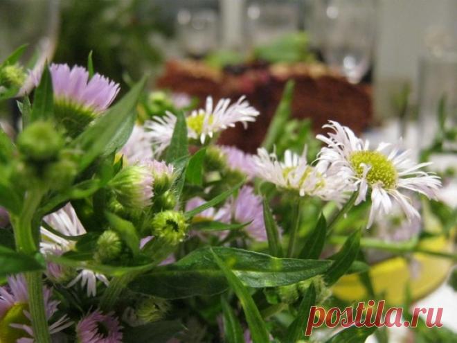 Меню на день рождения