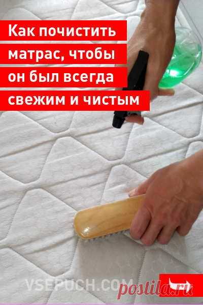 (91) Pinterest