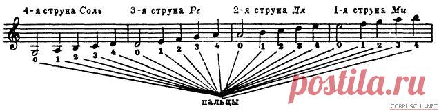 расположение нот на скрипке: 1 тыс изображений найдено в Яндекс.Картинках