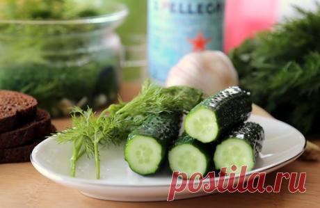 Огурцы малосольные. 1кг огурцов 1 пучок укропа 1 головка чеснока 2-3 ст.ложки соли 1л среднегазированной минеральной воды. Рецепт от Белоники