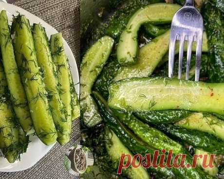 Самые вкусные малосольные огурцы