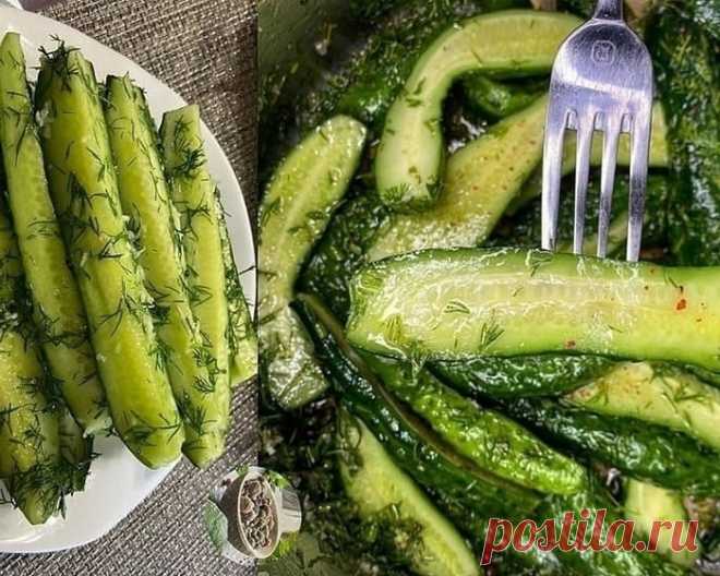 Самые вкусные малосольные огурцы