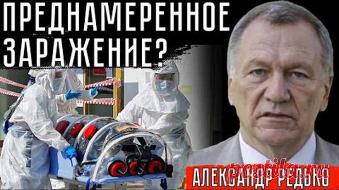 ПРЕДНАМЕРЕННОЕ ЗАРАЖЕНИЕ? #АлександрРедько