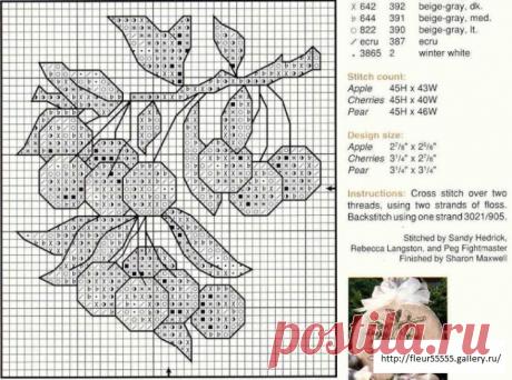 Gallery.ru / Фото #49 - 3 - Fleur55555