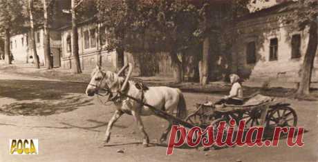 22. Ул. Пролетарская с повозкой. 1950-е годы